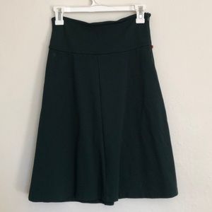 Betabrand Flare Skirt
